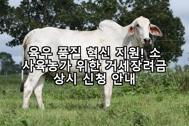 육우 품질 혁신 지원! 소 사육농가 위한 거세장려금 상시 신청 안내